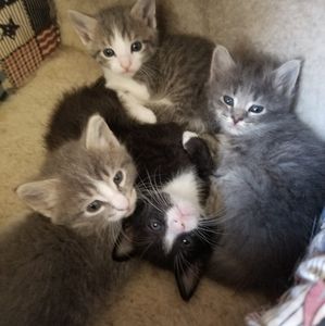 Meet your Posher, Stacy